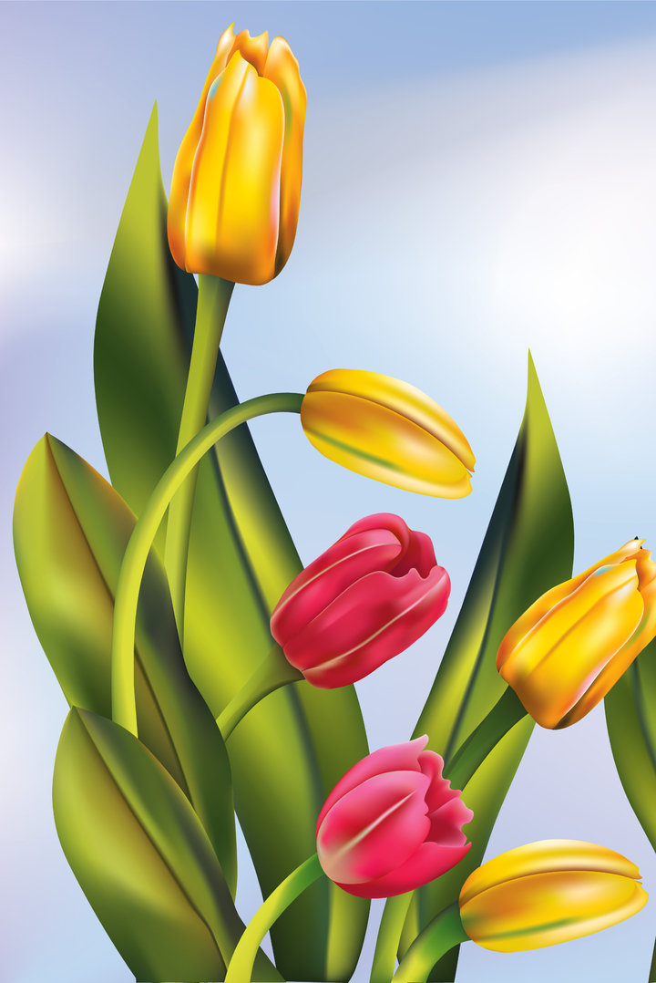 98+ Hình nền hoa tulip full HD đẹp nhất cho điện thoại
