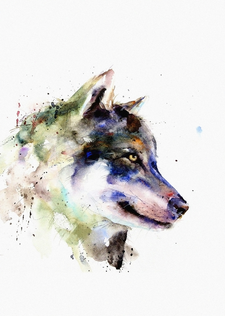 Con chó Mèo Học Động vật có vú Clip nghệ thuật  bản vẽ sói đẹp png tải về   Miễn phí trong suốt Con Chó Giống Như Loài động Vật Có