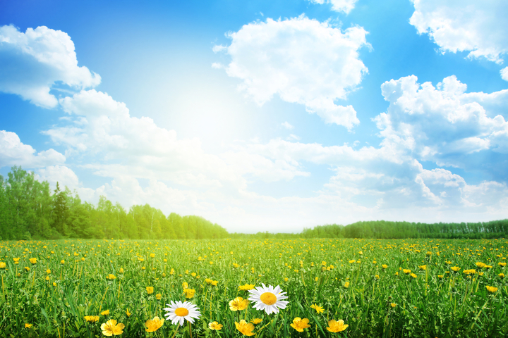 Ảnh đồng xanh hoa cỏ và bầu trời chất lượng cao | 10037 có chất lượng hình ảnh đẹp mắt. Cùng với những đồng xanh của cỏ, hoa tươi và bầu trời trong xanh, bạn sẽ cảm thấy mình như đang được trải nghiệm một bức tranh tự nhiên tuyệt đẹp.