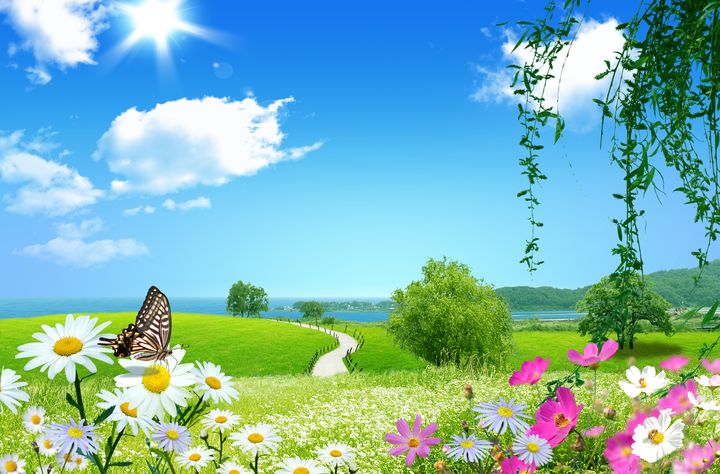 Tranh treo tường phong cảnh thiên nhiên đồng cỏ hoa mênh mông , bầu trời  xanh , bướm đậu 20541 