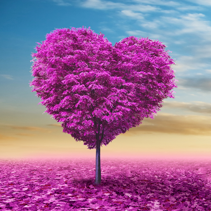 Cây trái tim thật đặc biệt với hình dáng độc đáo như một trái tim và những chiếc lá mỏng manh. Nó là một biểu tượng của tình yêu và sự kết nối giữa mọi người. Hãy ngắm nhìn cây trái tim này và cảm nhận sự ấm áp và yêu thương.