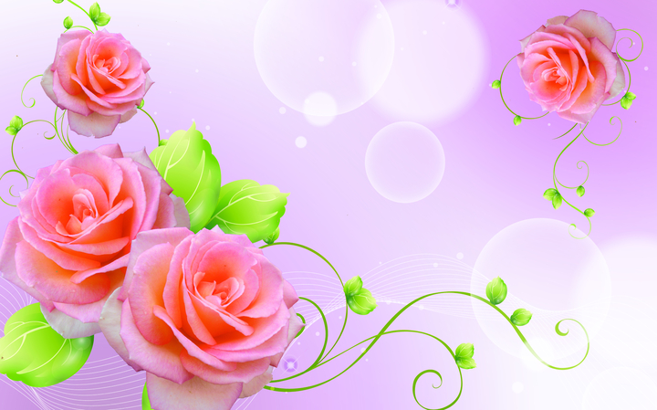 Những hình ảnh hoa Hướng Dương đẹp nhất