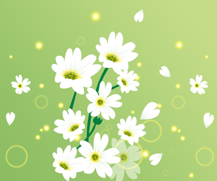 Tranh phong cảnh- hình những bông hoa màu trắng trên nền xanh lá nhẹ nhàng  47410 