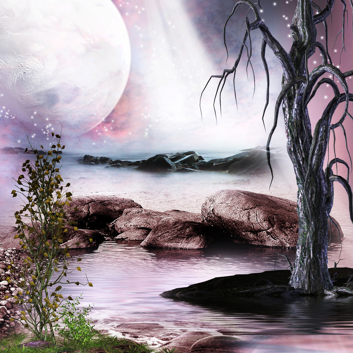 Bộ 2 tranh trang trí tường hình phong cảnh đêm trăng tròn 43893 -  
